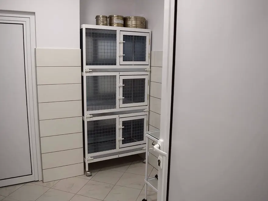 Стационар