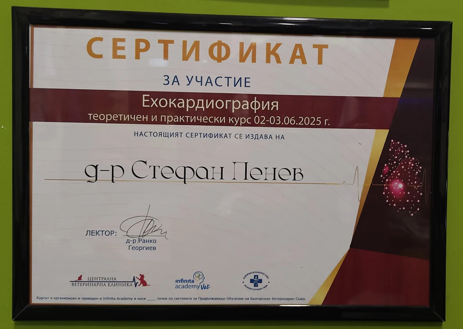 Документ — Д-р Стефан Пенев