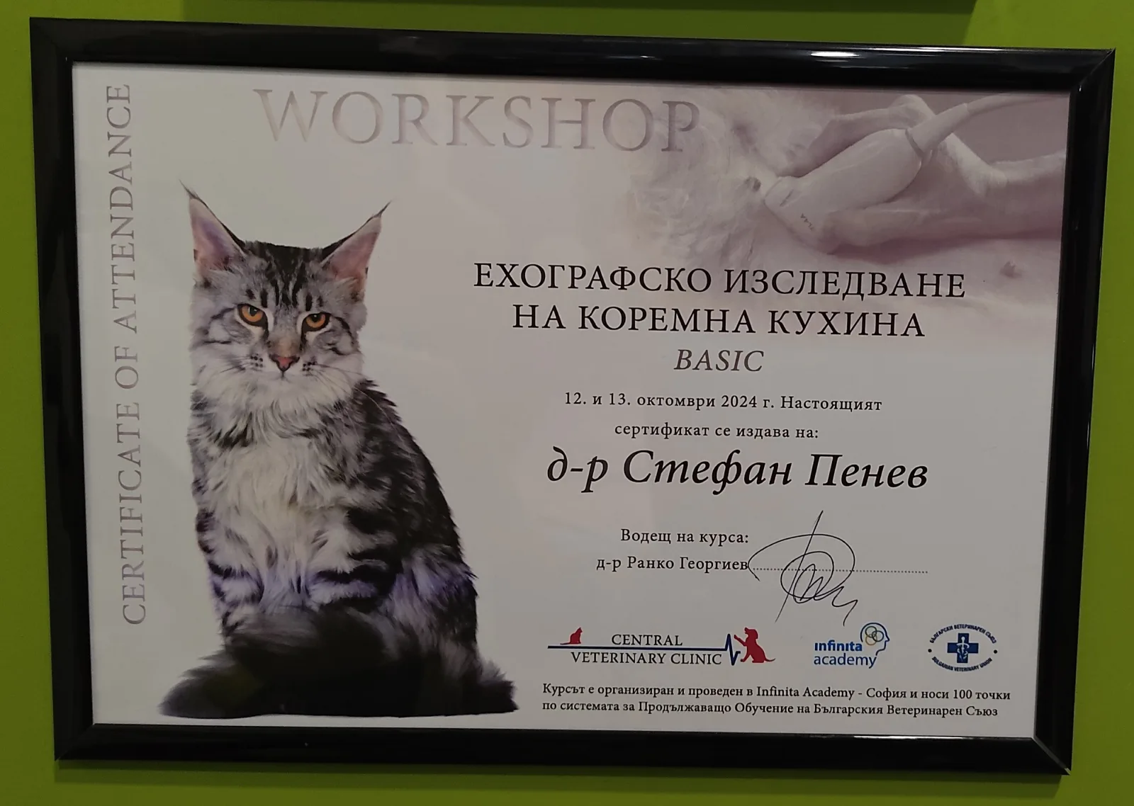 Документ — Д-р Стефан Пенев